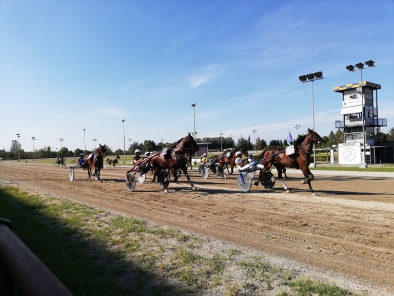 Avis-Modena-e-Ippodromo-2019-001-768x576.jpg