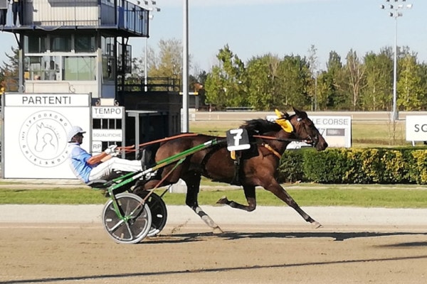 Avis-Modena-e-Ippodromo-2019-600x400.jpg