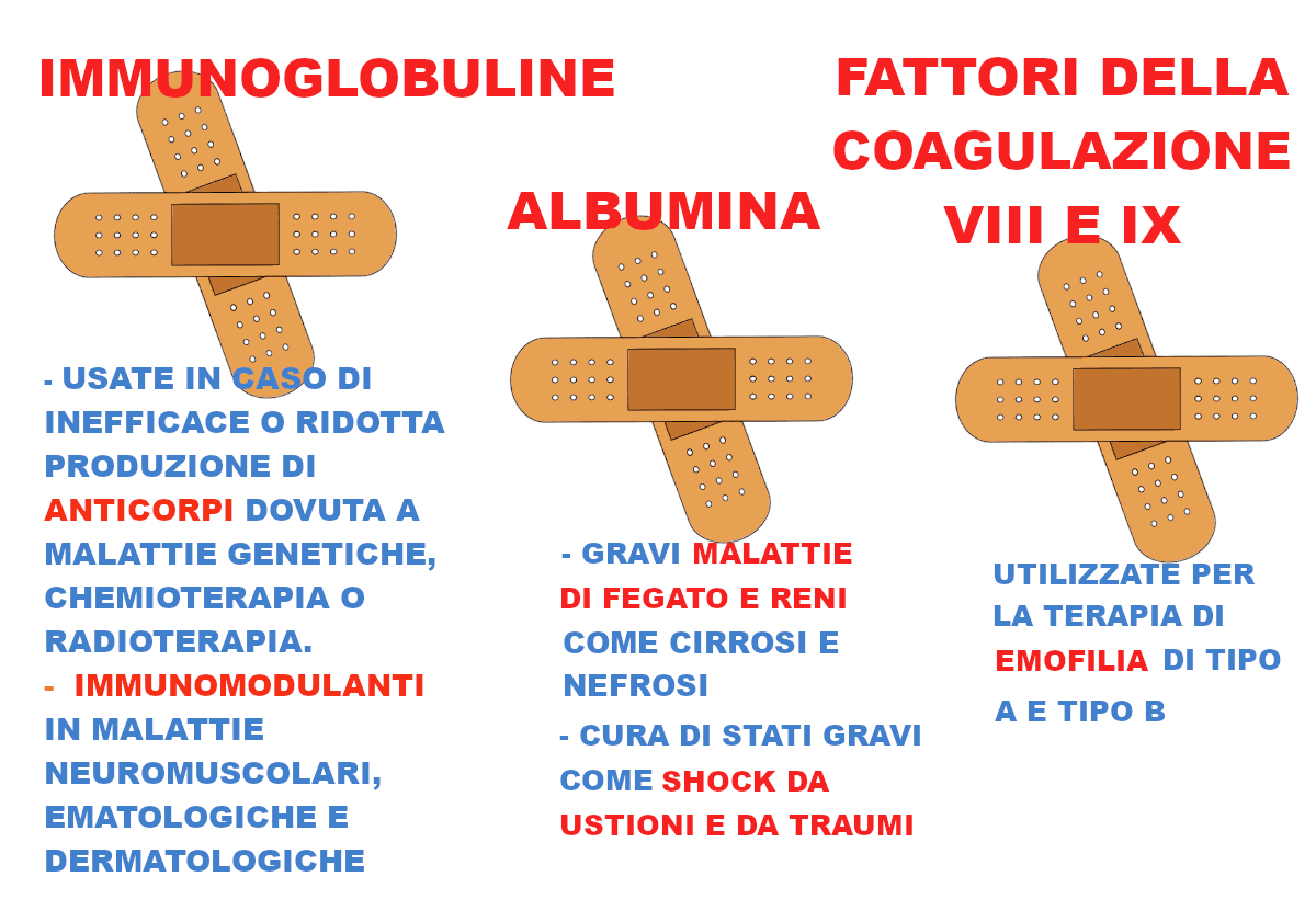 Il plasma a cosa serve AVIS Provinciale Modena